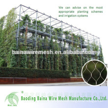 Flexible Stainless Steel Rope Mesh For Green Wall
